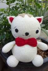 Handsome cat