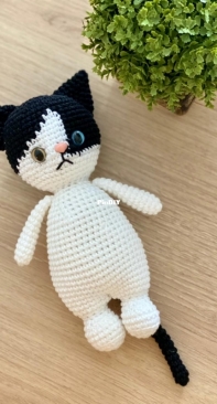 My last little cat