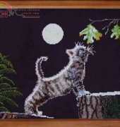 Maxs Moon from Cross My Heart CSB-155 Kitten Kaboodle PCS