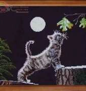 Maxs Moon from Cross My Heart CSB-155 Kitten Kaboodle PCS