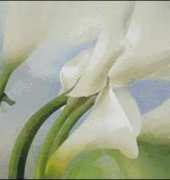 I love cross stitch ILCS-HW-005-Calla Lilies Ⅱ