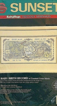 Dimensions Sunset - 13565 A New Baby Birth Record XSD