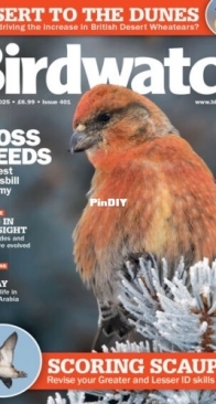 Birdwatch UK - Issue 401, November 2025