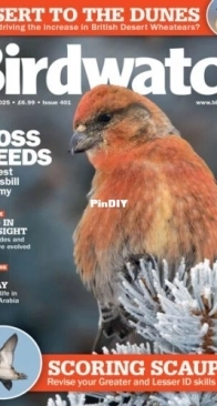 Birdwatch UK - Issue 401, November 2025