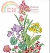 Eva Rosenstand 22-243 Alpine flowers