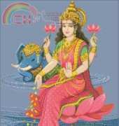 PINN 44-A Lakshmi