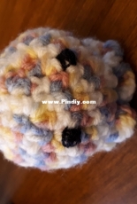 First attempt at a baby octopus