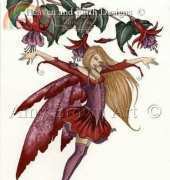 HAED HAEAB 105 Fuchsia, Amy Brown