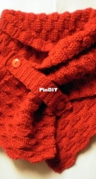 Scarf shirtfront