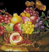 DOME 90610 A Fruit Basket XSD
