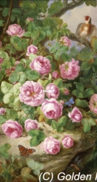 Golden Kite GK 2615 - Decorative Still Life with Roses XSD