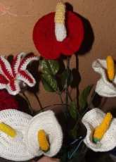 boquet