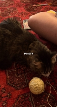 He was curious…