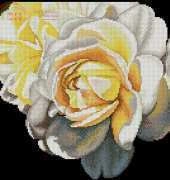 DMC BK125 White Rose