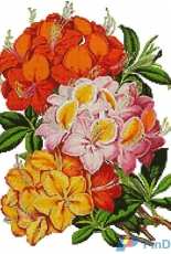 Artecy Cross Stitch - Hardy Azaleas