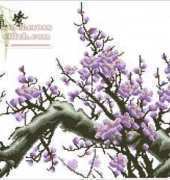 KCO Sakuras New East