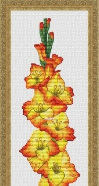 Orange Gladiolus by Serafima Abramova