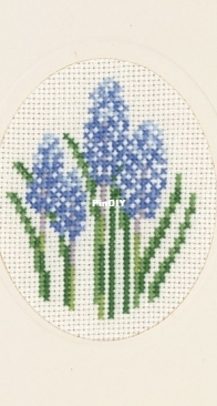 Permin of Copenhagen - Hyacinths PCS + XSD