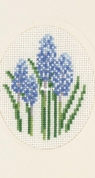 Permin of Copenhagen - Hyacinths PCS + XSD