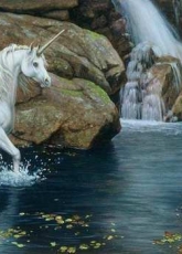 HAED HAERS 002 Unicorn Pool by Rachel Anderson pcs