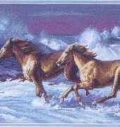 Dimensions 35142 - Wave & Runner