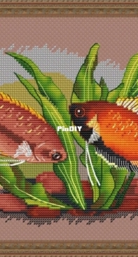 Honey Gourami by Serafima Abramova