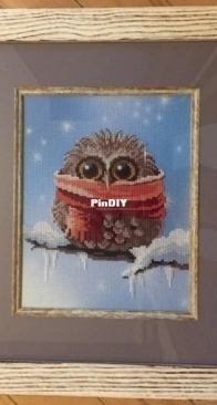 Winter owlet