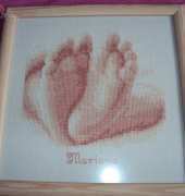 Vervaco birth sampler