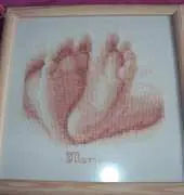 Vervaco birth sampler