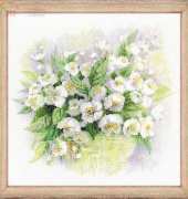 Riolis 1467 - Aquarelle Jasmine