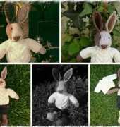 Bunny boy