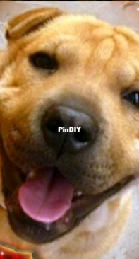 Dory smiling