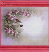 FIORI 48
