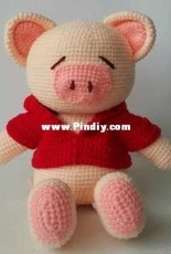 my pig