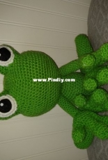 Mr. Froggie