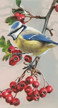Elena Petrova- Tit bird