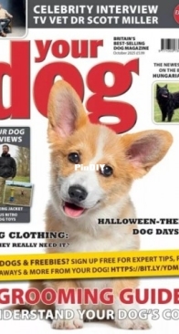 Your Dog - October 2025