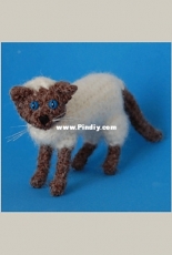 Pixie Kitten - Siameze Cat - Siamese Cat