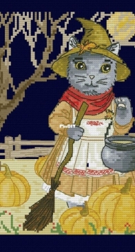 The Witch Cat by Evgenia Nikotina / Ivolga XSD