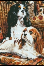 Chimera - Cavaliers on Wicker