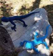 Arañas y Marañas - Rosaura Valdez - Blue lizard - Lagartija Azul - Spanish - Free