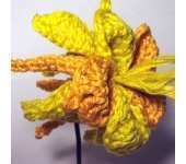Meli Bondre - Camelia Shanahan - Golden Columbine Crochet Flower - Free