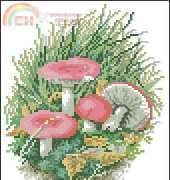 Permin Calendar 1983-11 Russula Emetica
