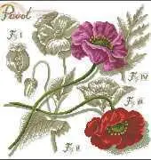 Études de Botanigue Pavot / Poppy from De fil en Aiguille DFEA HS 28 XSD