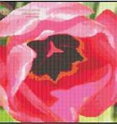 Celtic Rose Needlecraft - Pink Poppy (freebie)