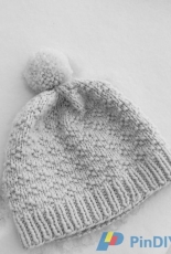 From the Frost by Sarah Ferguson