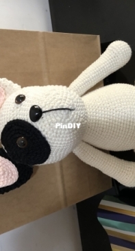 French Bulldog