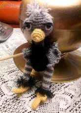 Ostrich