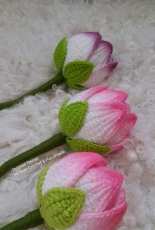 By Thitaree - Lotus Flower -Thai - Free