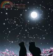 HAED HAEIAG1252 -Constellations by Irina Garmashova